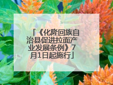 《化隆回族自治县促进拉面产业发展条例》7月1日起施行
