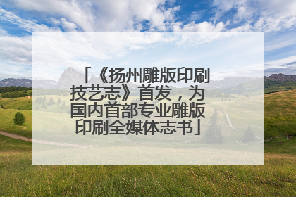 《扬州雕版印刷技艺志》首发，为国内首部专业雕版印刷全媒体志书