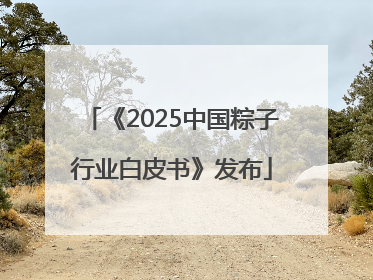 《2025中国粽子行业白皮书》发布