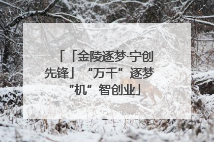 「金陵逐梦·宁创先锋」“万千”逐梦 “机”智创业