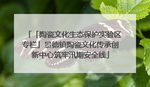「陶瓷文化生态保护实验区专栏」景德镇陶瓷文化传承创新中心筑牢汛期安全线