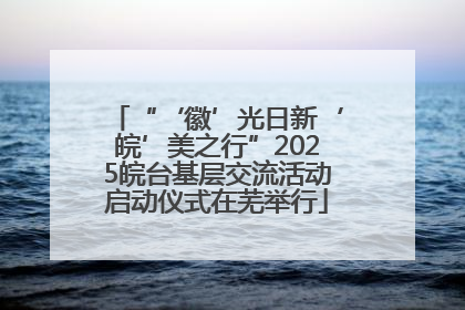 “‘徽’光日新‘皖’美之行”2025皖台基层交流活动启动仪式在芜举行