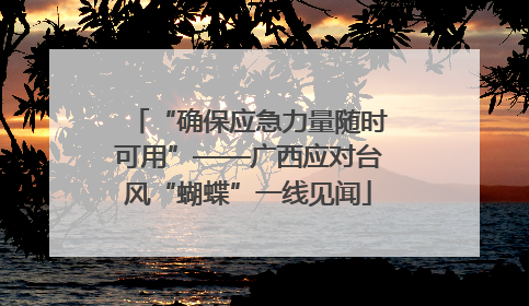 “确保应急力量随时可用”——广西应对台风“蝴蝶”一线见闻