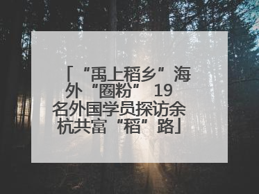 “禹上稻乡”海外“圈粉” 19名外国学员探访余杭共富“稻”路