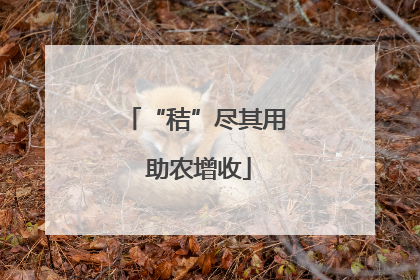 “秸”尽其用 助农增收