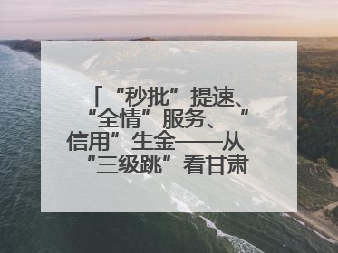 “秒批”提速、“全情”服务、“信用”生金——从“三级跳”看甘肃玉门市优化营商环境的进阶之路