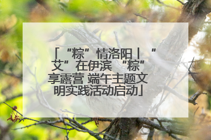 “粽”情洛阳丨“艾”在伊滨 “粽”享露营 端午主题文明实践活动启动