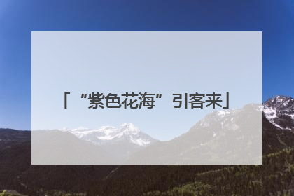 “紫色花海”引客来