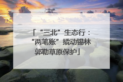 “三北”生态行：“两笔账”撬动锡林郭勒草原保护