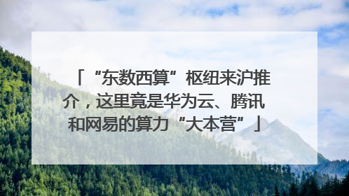 “东数西算”枢纽来沪推介，这里竟是华为云、腾讯和网易的算力“大本营”
