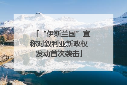 “伊斯兰国”宣称对叙利亚新政权发动首次袭击