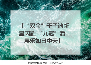“双金”于子迪新星闪耀 “九冠”潘展乐如日中天