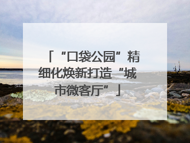 “口袋公园”精细化焕新打造“城市微客厅”
