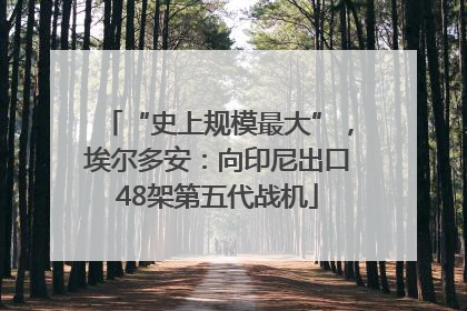 “史上规模最大”，埃尔多安：向印尼出口48架第五代战机