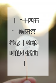 “十四五”·衡阳答卷③｜收粮时的小插曲