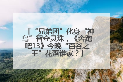 “兄弟团”化身“神鸟”智夺灵珠，《奔跑吧13》今晚“百谷之王”花落谁家？