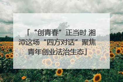 “创青春”正当时 湘潭这场“四方对话”聚焦青年创业法治生态