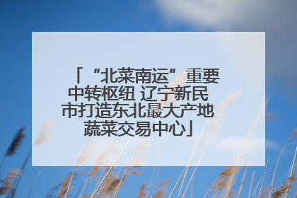 “北菜南运”重要中转枢纽 辽宁新民市打造东北最大产地蔬菜交易中心
