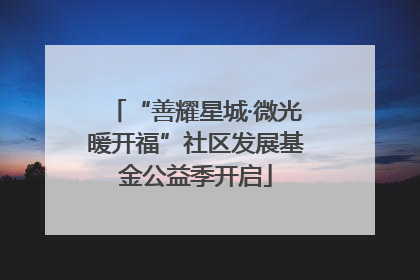 “善耀星城·微光暖开福”社区发展基金公益季开启