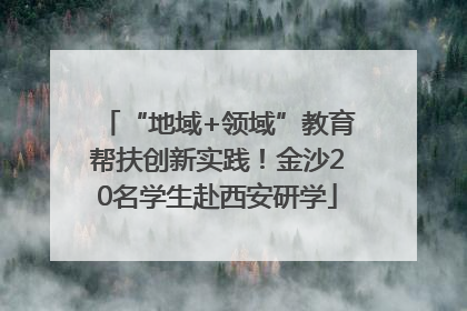 “地域+领域”教育帮扶创新实践！金沙20名学生赴西安研学