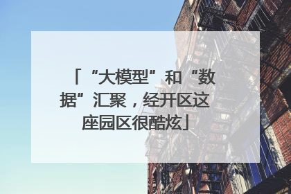 “大模型”和“数据”汇聚，经开区这座园区很酷炫
