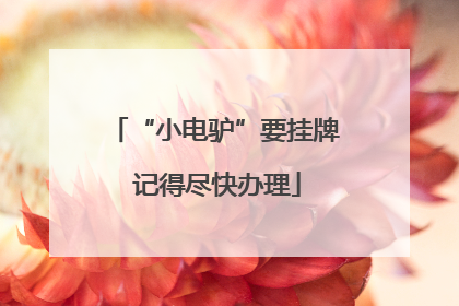 “小电驴”要挂牌 记得尽快办理