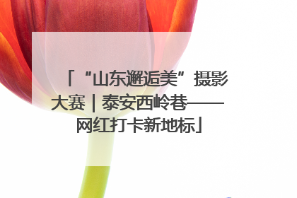“山东邂逅美”摄影大赛｜泰安西岭巷——网红打卡新地标