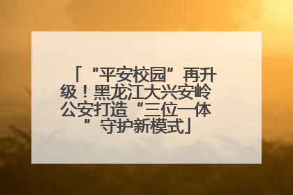 “平安校园”再升级！黑龙江大兴安岭公安打造“三位一体”守护新模式