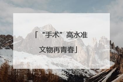 “手术”高水准 文物再青春