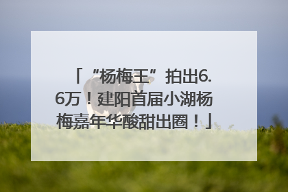 “杨梅王”拍出6.6万！建阳首届小湖杨梅嘉年华酸甜出圈！
