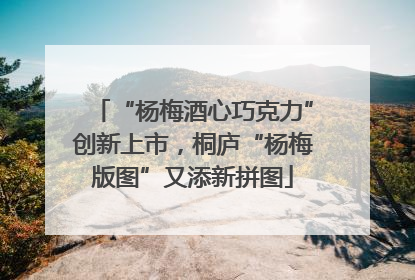 “杨梅酒心巧克力”创新上市，桐庐“杨梅版图”又添新拼图