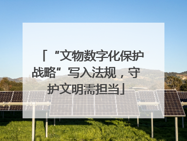 “文物数字化保护战略”写入法规，守护文明需担当