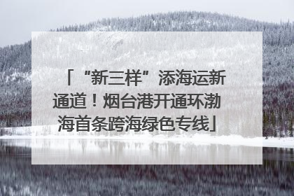 “新三样”添海运新通道！烟台港开通环渤海首条跨海绿色专线