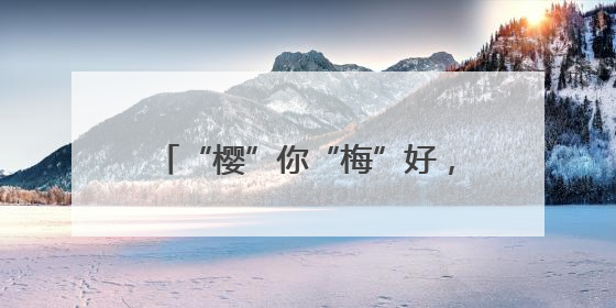 “樱”你“梅”好，互赠物产！烟台和三门开启跨城联动之约