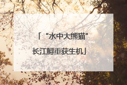 “水中大熊猫”长江鲟重获生机