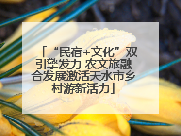 “民宿+文化”双引擎发力 农文旅融合发展激活天水市乡村游新活力