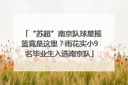 “苏超”南京队球星摇篮竟是这里？雨花实小9名毕业生入选南京队