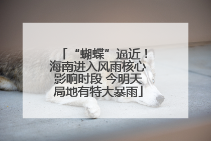 “蝴蝶”逼近！海南进入风雨核心影响时段 今明天局地有特大暴雨