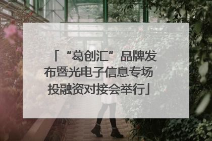 “葛创汇”品牌发布暨光电子信息专场投融资对接会举行
