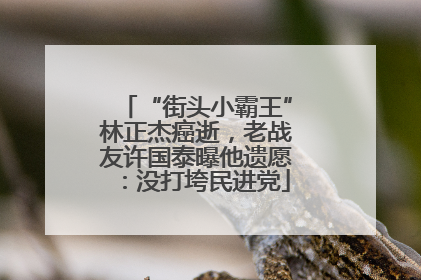 “街头小霸王”林正杰癌逝，老战友许国泰曝他遗愿：没打垮民进党