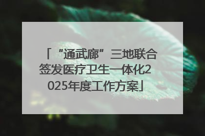 “通武廊”三地联合签发医疗卫生一体化2025年度工作方案