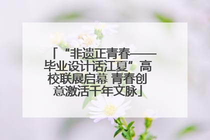 “非遗正青春——毕业设计话江夏”高校联展启幕 青春创意激活千年文脉