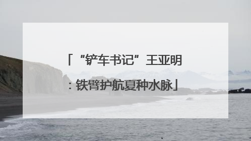 “铲车书记”王亚明：铁臂护航夏种水脉