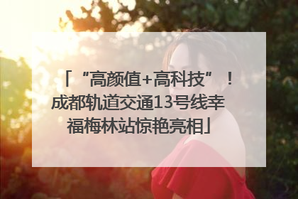“高颜值+高科技”！成都轨道交通13号线幸福梅林站惊艳亮相