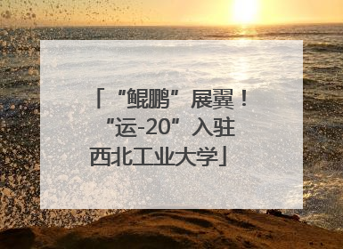“鲲鹏”展翼！“运-20”入驻西北工业大学