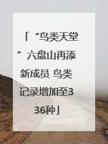 “鸟类天堂”六盘山再添新成员 鸟类记录增加至336种