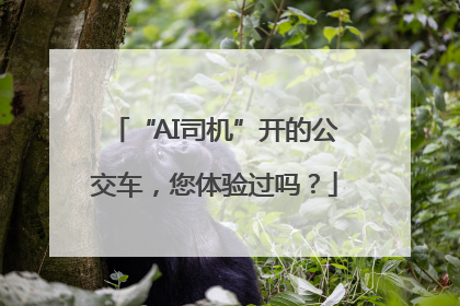 “AI司机”开的公交车，您体验过吗？