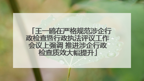 王一鸥在严格规范涉企行政检查暨行政执法评议工作会议上强调 推进涉企行政检查质效大幅提升