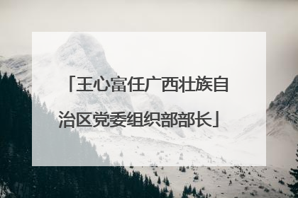 王心富任广西壮族自治区党委组织部部长