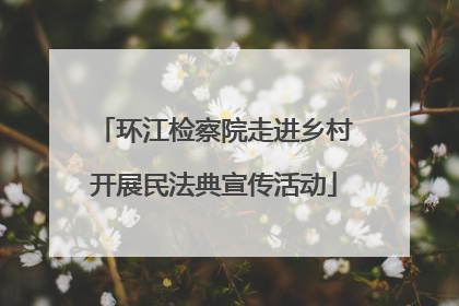 环江检察院走进乡村开展民法典宣传活动